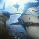 Illustration for article titled Sharpedo Can Shoot Water Out Of Its Ass At 75 MPH